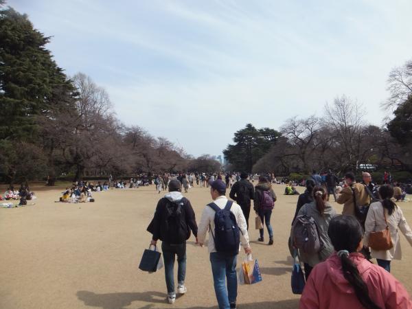 DSCF3349_convert_20170327223331.jpg