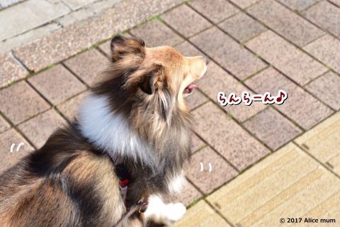 2m - コピー