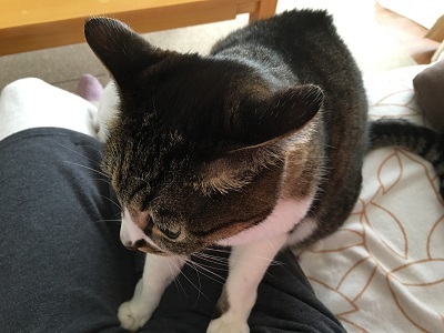 これはすり寄り