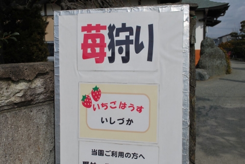 平塚市内で楽しい「いちご狩り」 いちごはうすいしずかの看板