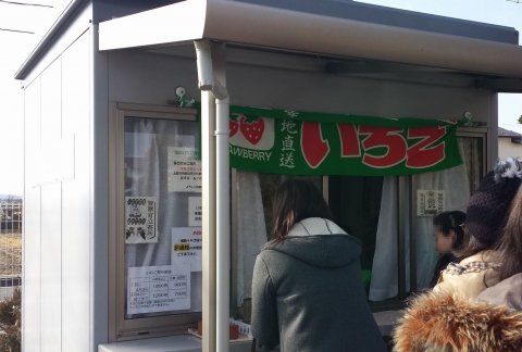 平塚市内で楽しい「いちご狩り」 いちごはうすいしずか　受付