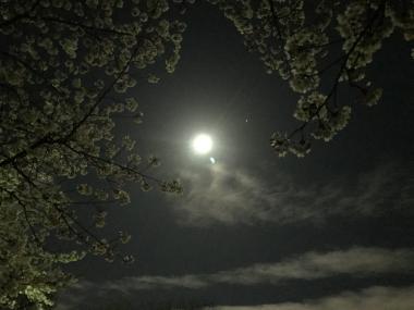 2017年4月満月と桜