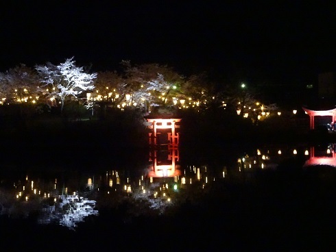 上野池2