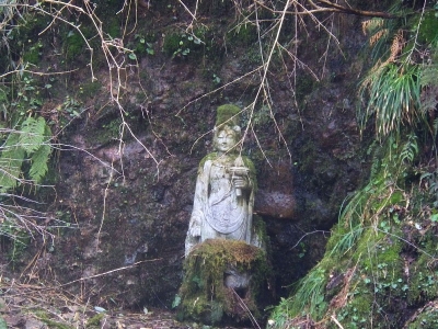 IMGP7718.jpg