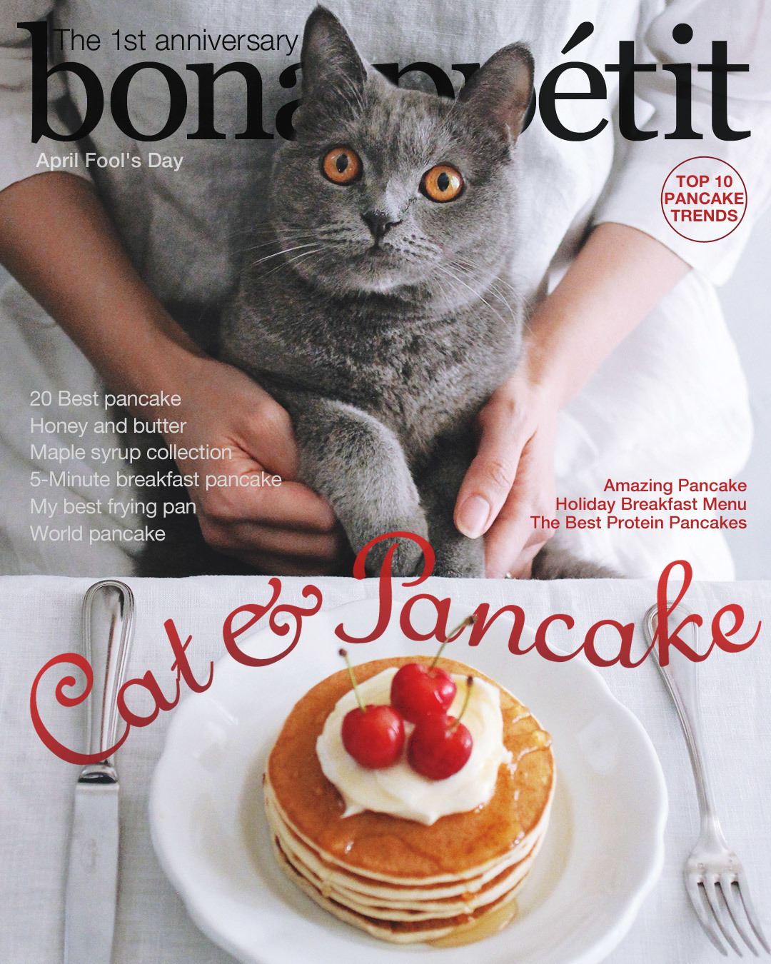 Cat &Pancake