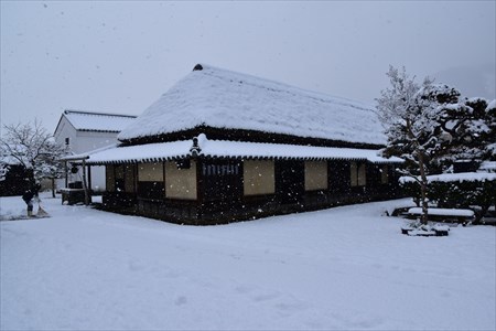 雪の永井家３