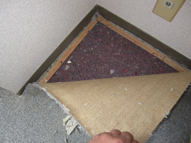 東京都杉並区　空き室分譲マンション　洋間床グリッパー式カーペット張替え　グリッパーの確認　作業前　１