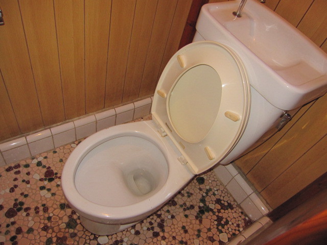 埼玉県所沢市　空き室賃貸物件原状回復２ＤＫ全体ハウスクリーニング　トイレ清掃　作業完了後　１