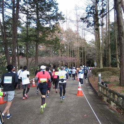 0221マラソン京都22