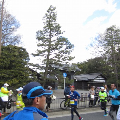 0221マラソン京都24