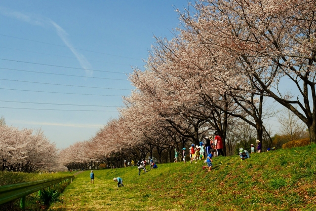 2017-04-06 川越水上公園 003