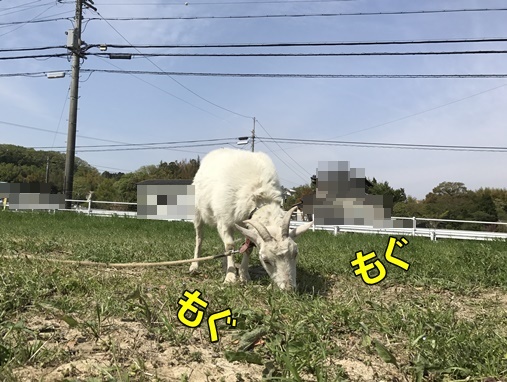 変換やぎぃ4編集