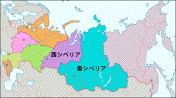 正規のシベリア