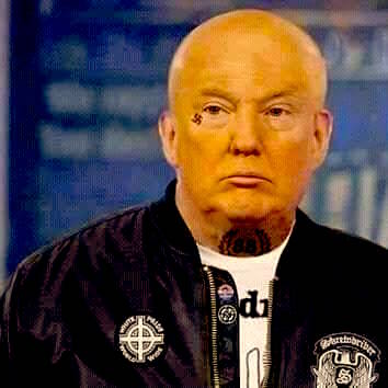 Trump Skinhead