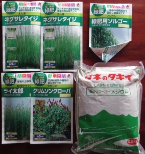緑肥の種0215
