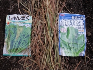 小松菜と春菊の種