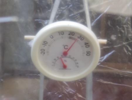 簡易温室の温度計