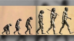 進化中