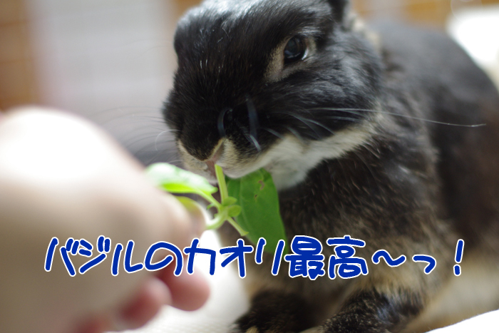 290224Blog6.jpg
